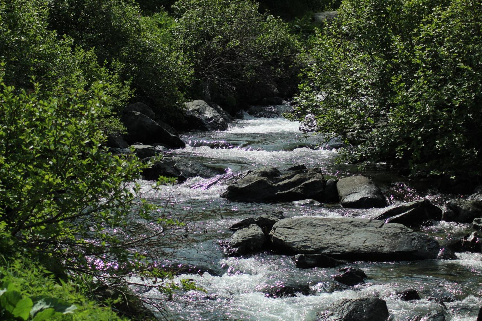 Chalet Le 1000 Thabor Valmeinier Εξωτερικό φωτογραφία